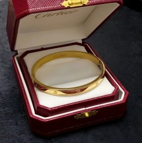 Cartier bracelet(14 styles)-0398